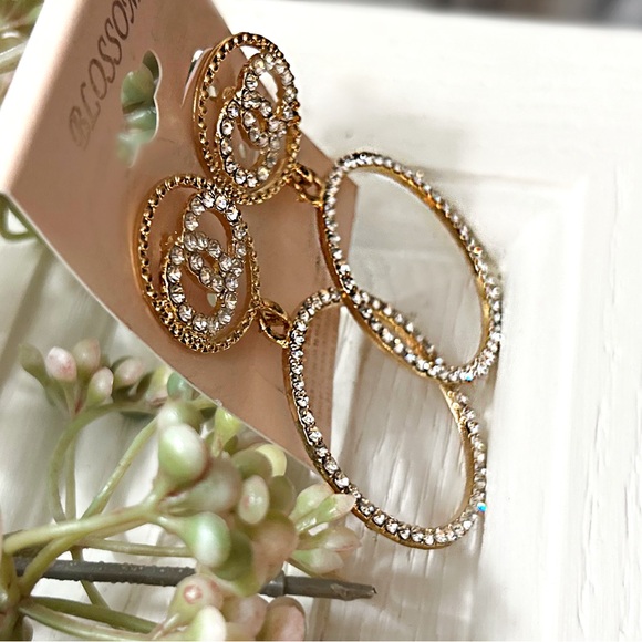 The Blossom Apparel Jewelry - The Blossom Apparel Gold and Silver Oval Earrings